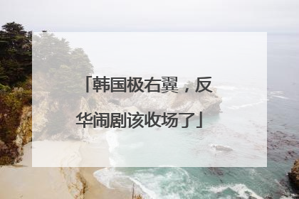 韩国极右翼，反华闹剧该收场了